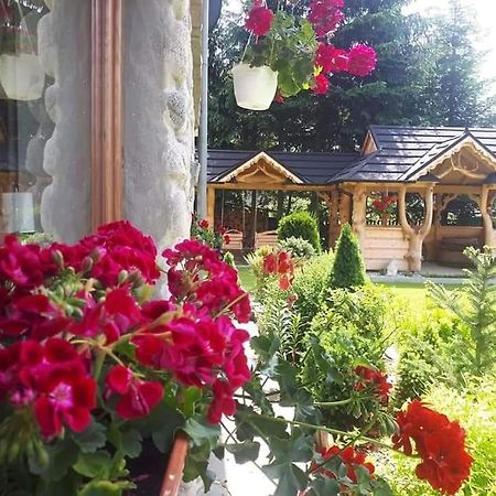 Magurskie Bywanie Witow  Ngoại thất bức ảnh